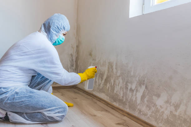 Licensed Commercial Mold Remediation service in Pope Army Airfield, NC - Mold Remediation HQ