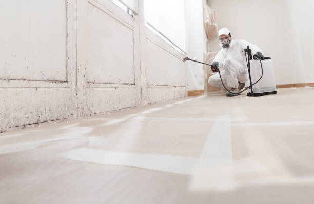 24/7 Emergency Commercial Mold Remediation experts in Pope Army Airfield, NC