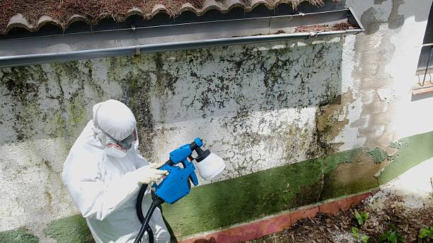 Top rated local Commercial Mold Remediation specialists in Pope Army Airfield, NC